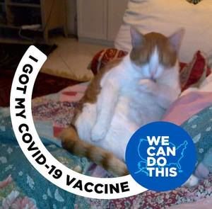 Meet your Posher, Marsha